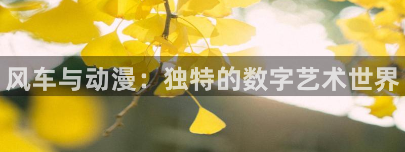 动漫之家看不了的漫画怎么才能看：风车与动漫：独特的数字艺术世界