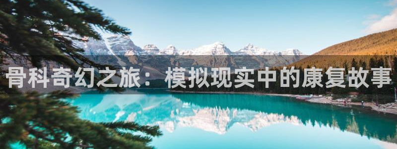 app动漫之家：骨科奇幻之旅：模拟现实中的康复故事