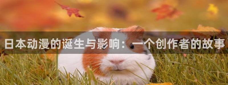 ts漫画动漫之家：日本动漫的诞生与影响：一个创作者的故事